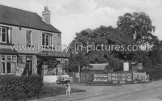 Stores, Sydney House, Nevendon Road, Wickford, Essex. c.1920's